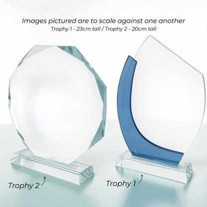 Personalised Octagon Crystal Trophy Award | Custom Corporate Award UK