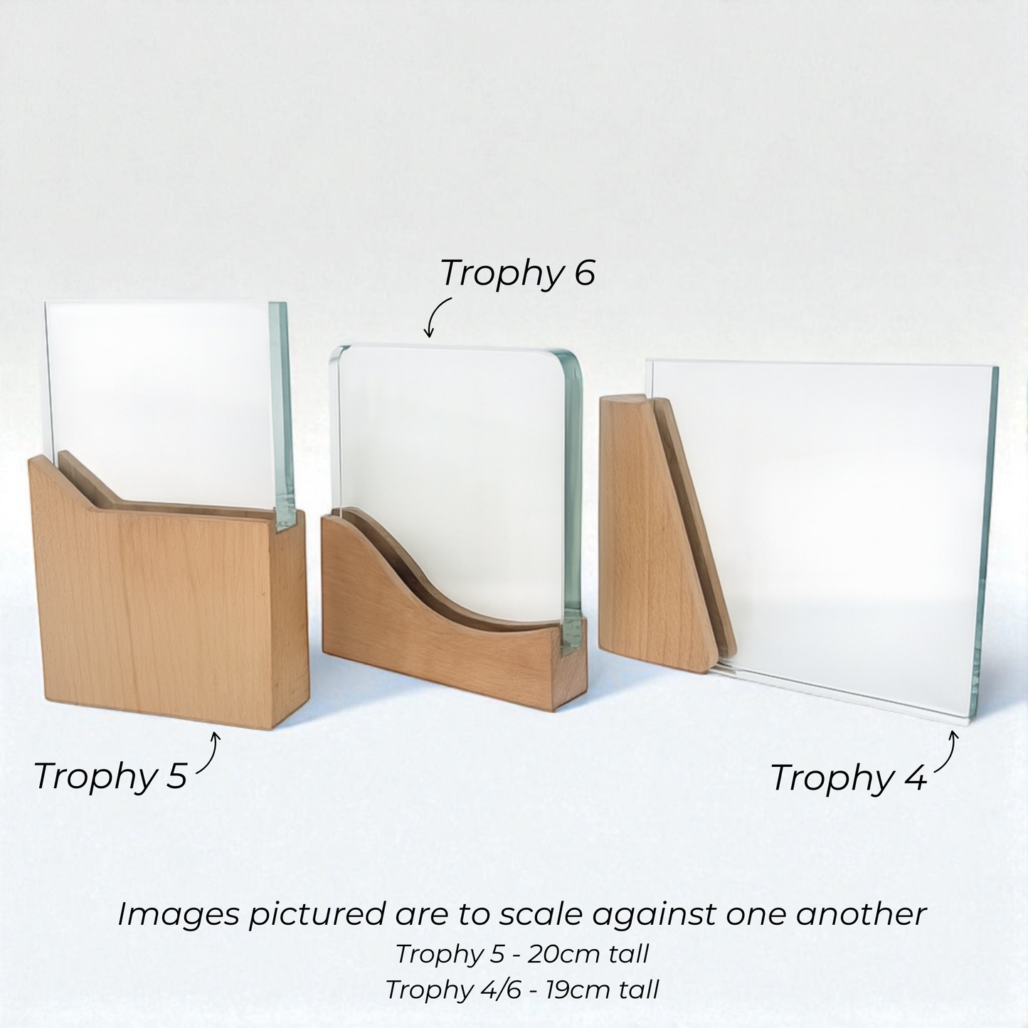 Personalised Round Crystal Trophy Award | Custom Award UK