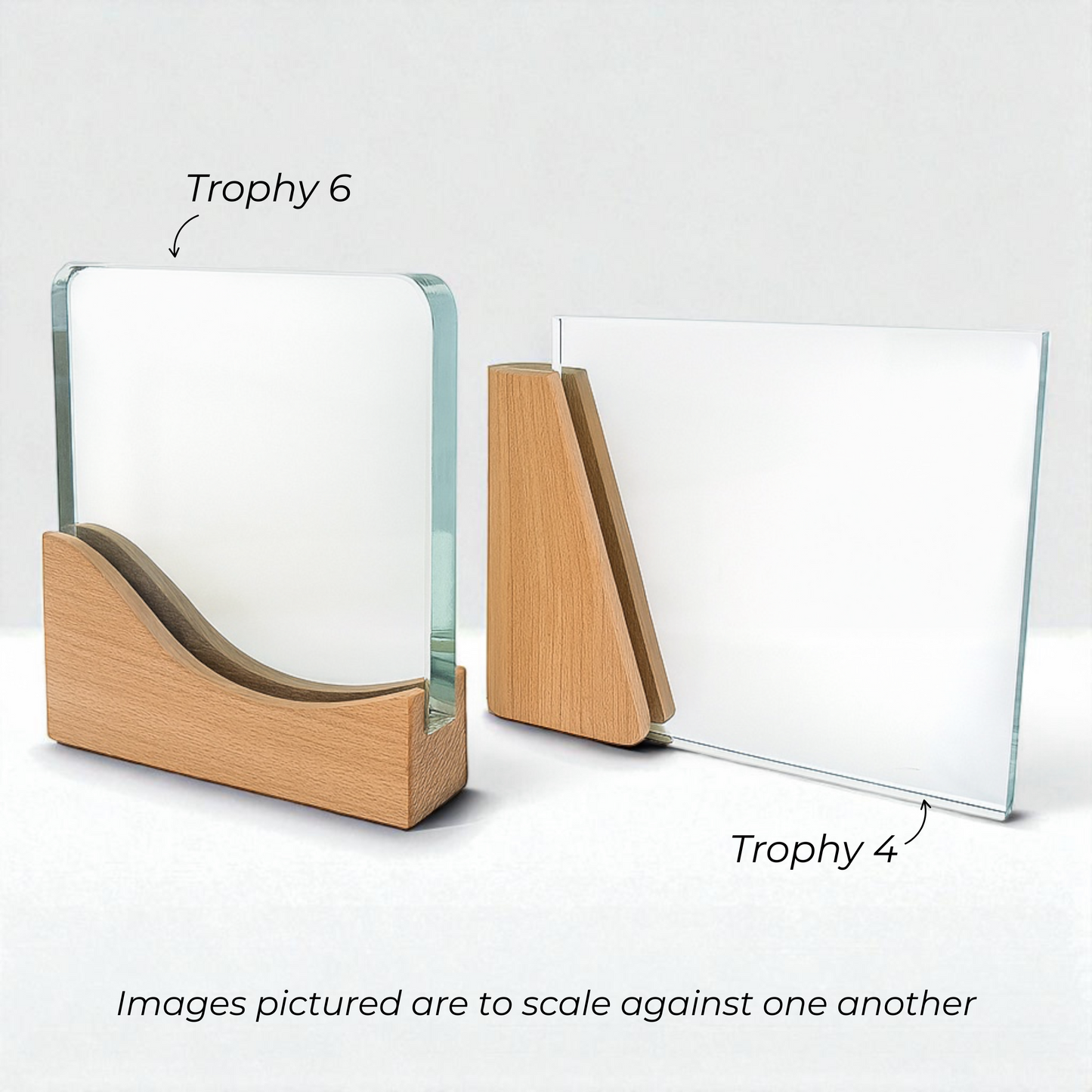 Personalised Octagon Crystal Trophy Award | Custom Corporate Award UK